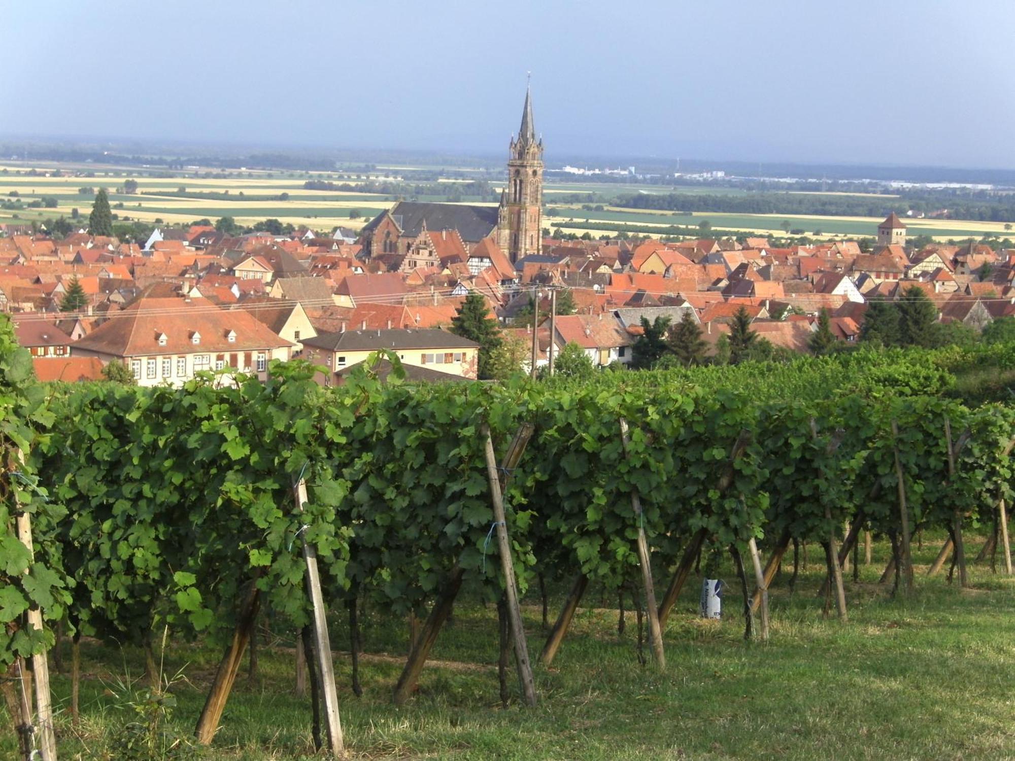 Chambres D'Hotes Arnold Dambach Zewnętrze zdjęcie